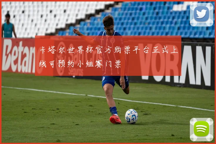 卡塔尔世界杯官方购票平台正式上线可预约小组赛门票