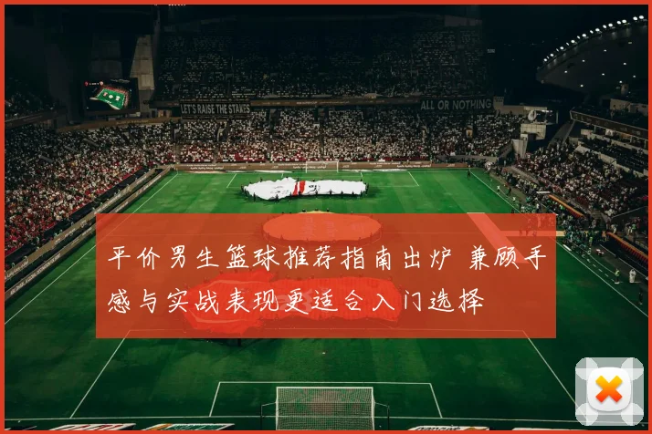 平价男生篮球推荐指南出炉 兼顾手感与实战表现更适合入门选择